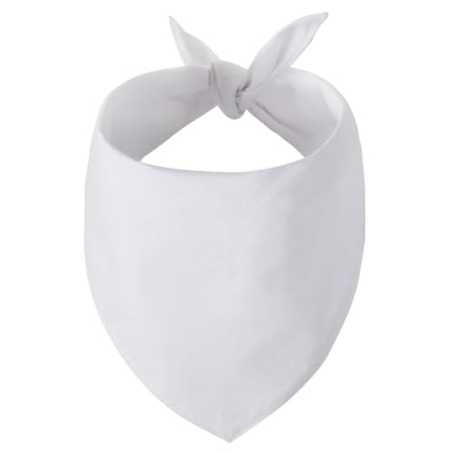 Blank Dog Bandanas Large-1PCS, - огляд і ціна Bandana Blank White
